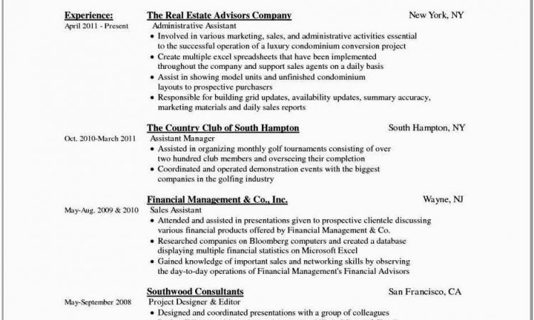 Blank Sample Resume Formats