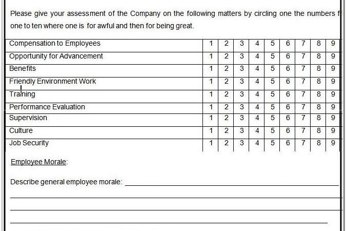 Blank Survey Template Word