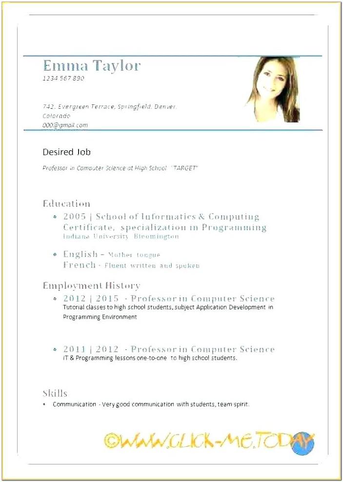 Blank Usable Resume Templates