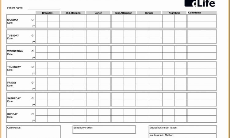 Blood Sugar Log Book Printable