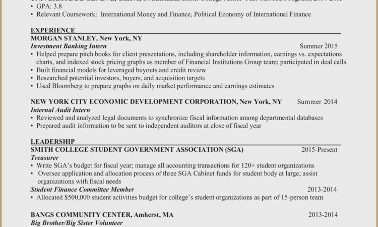 Accounts Payable Resume Templates