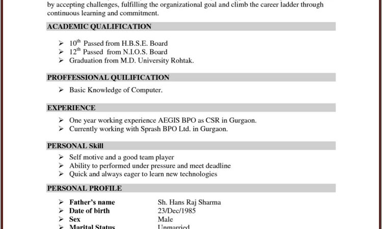 Best Resume Format Download Doc