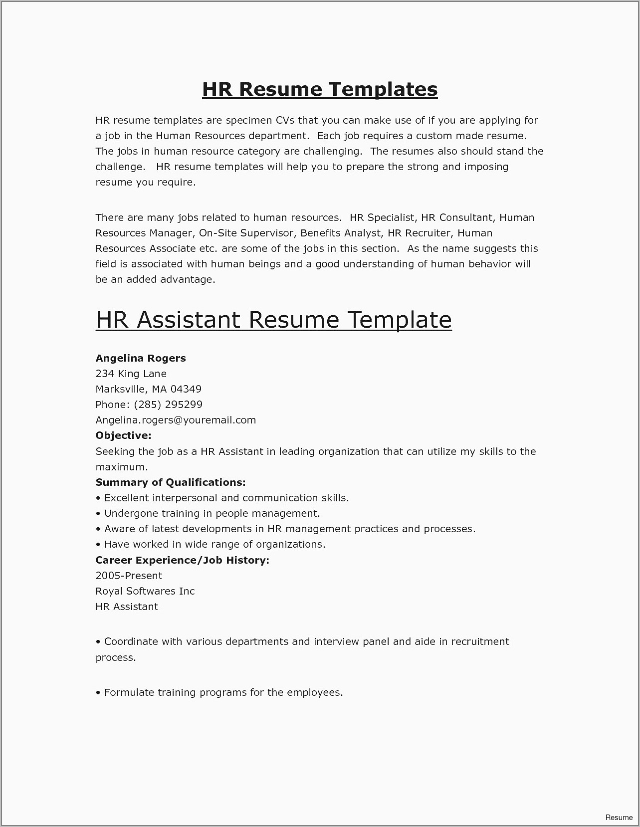 Best Resume Summary For Sales Manager