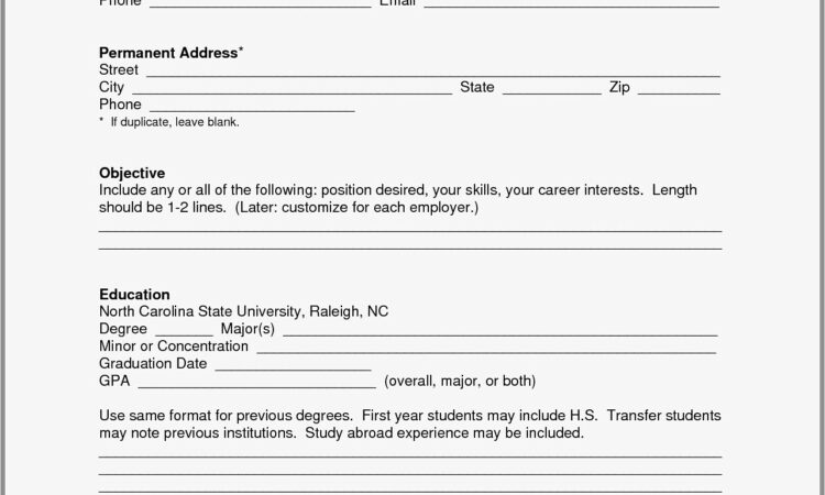 Blank Cv Format Word Download