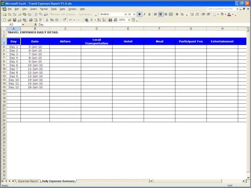 Business Expense Report Example