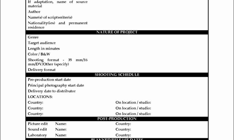 Business Financial Plan Example Pdf