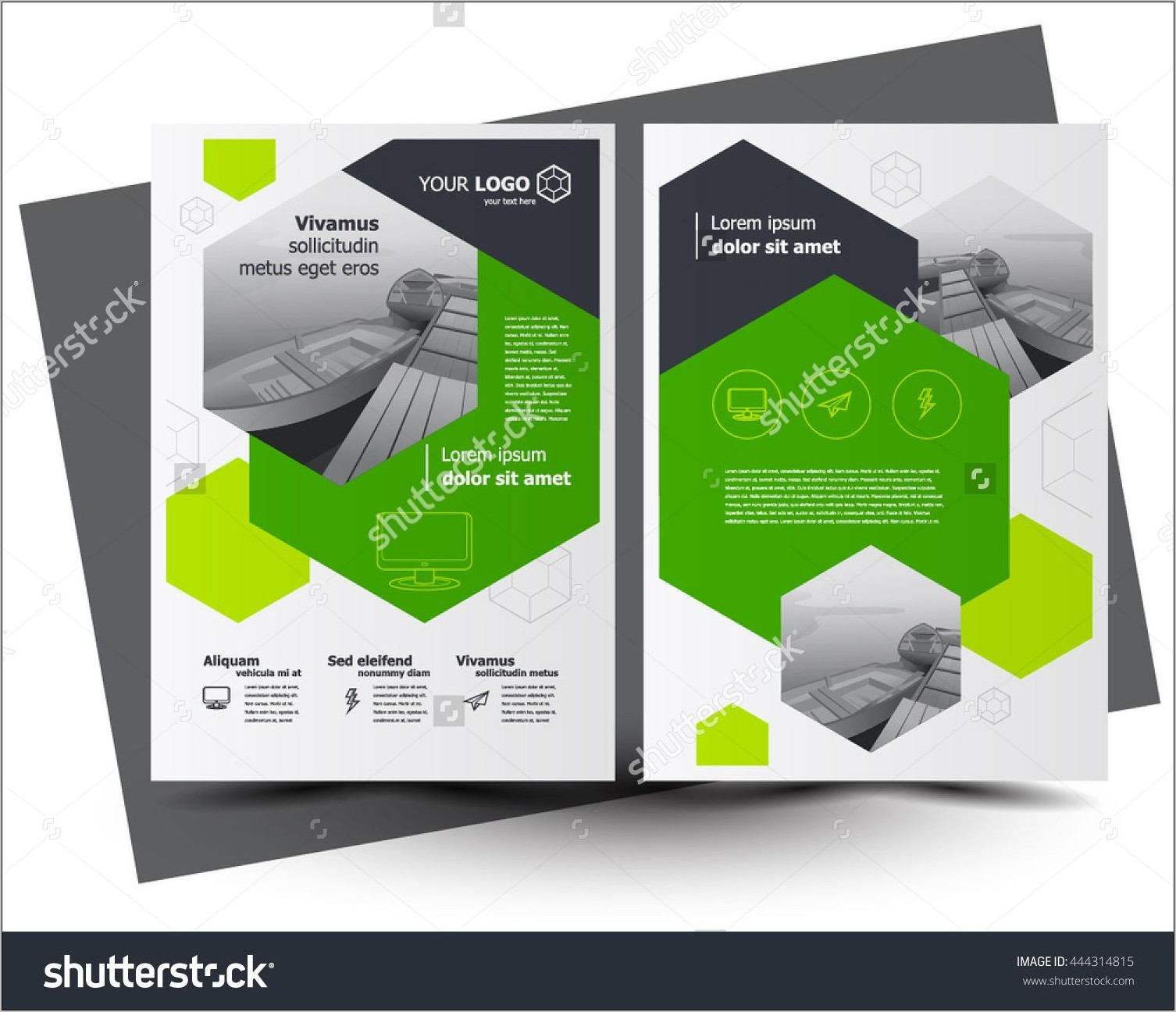 Business Flyer Brochure Design Template