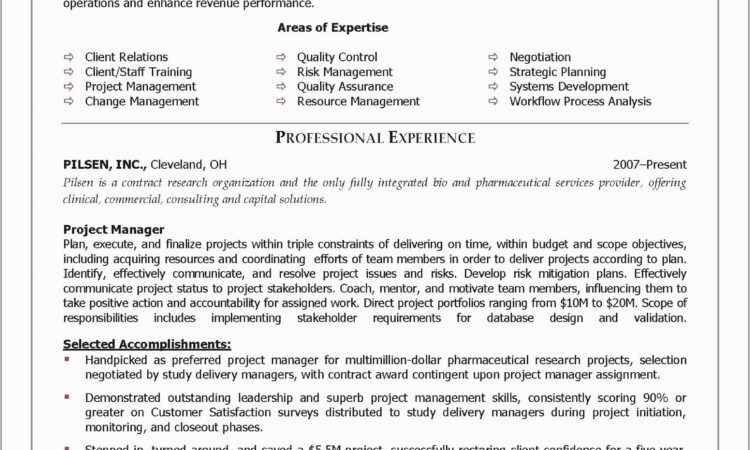 Business Intelligence Analyst Resume Sample Pdf