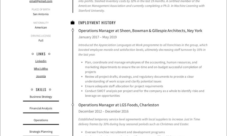 Business Intelligence Manager Resume Example