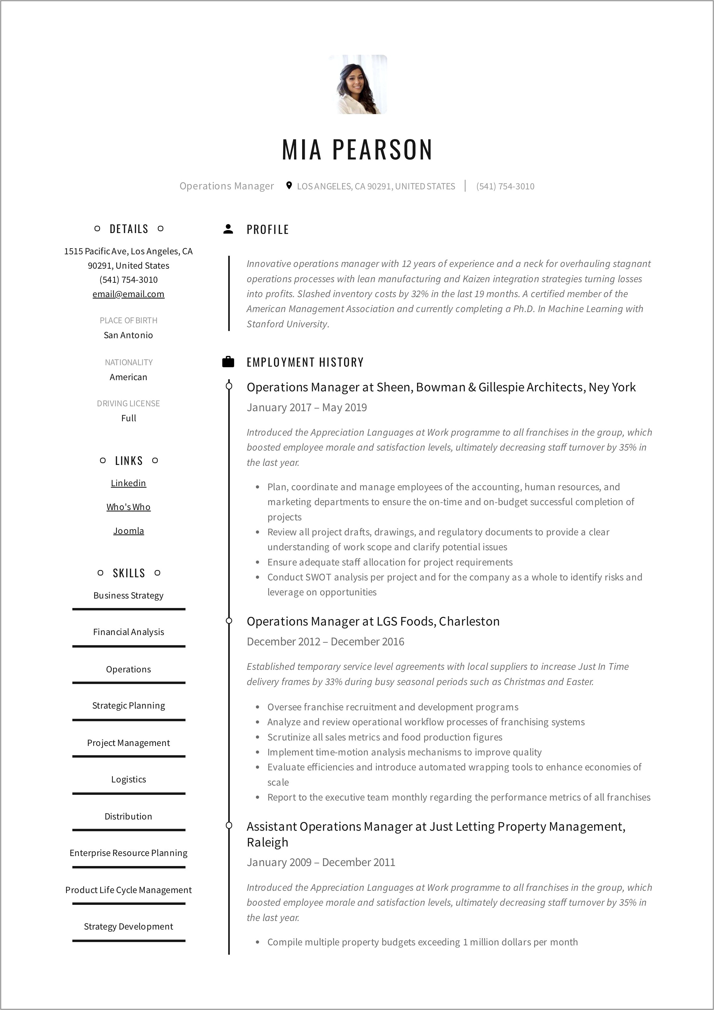 Business Intelligence Manager Resume Example