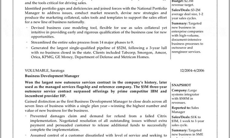 Business Intelligence Manager Resume Examples