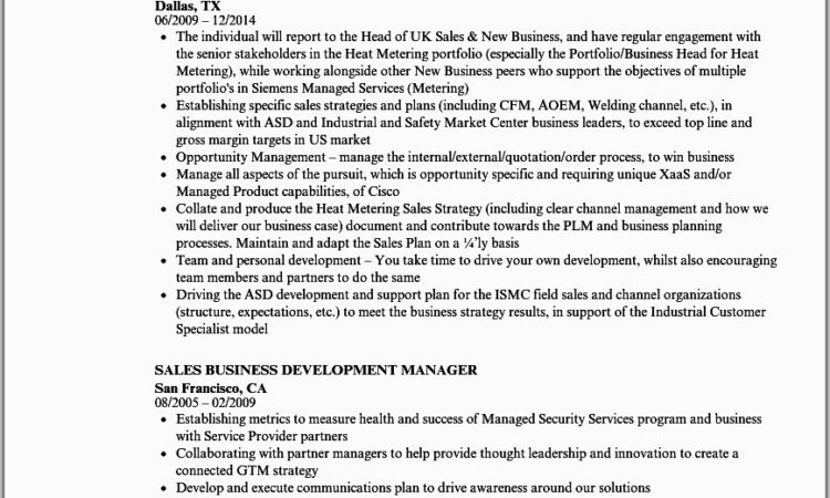 Business Intelligence Manager Sample Resume