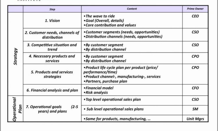 Business Operational Plan Format