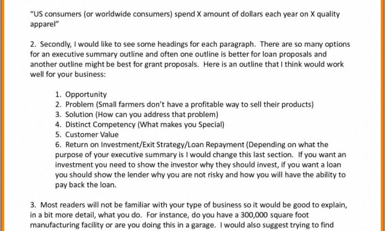 Business Plan Example For Investors