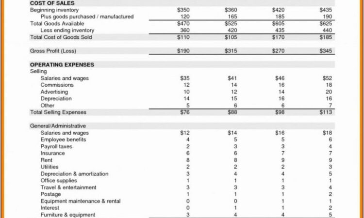 Business Plan Financial Statements Sample Pdf