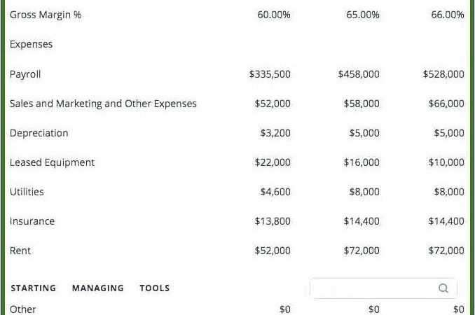 Business Plan Pl Template