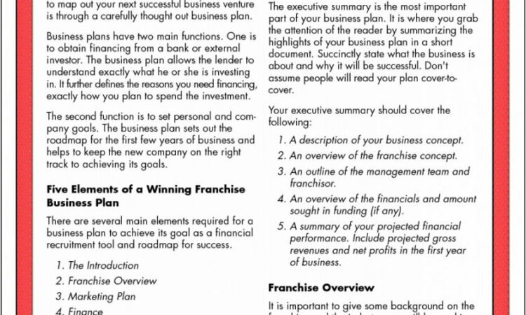 Business Plan Template For Franchise