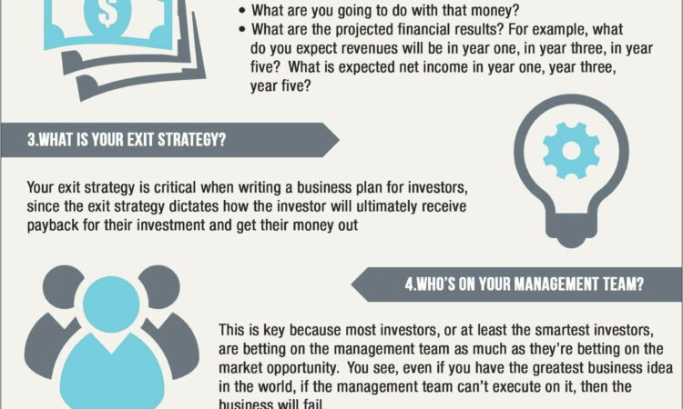 Business Plan Template For Investors