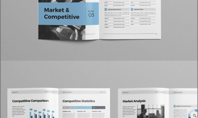 Business Plan Template Indd