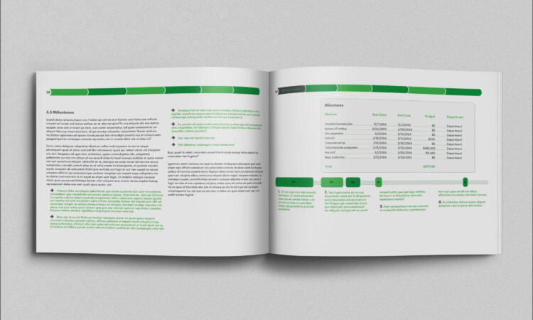 Business Plan Template Indesign