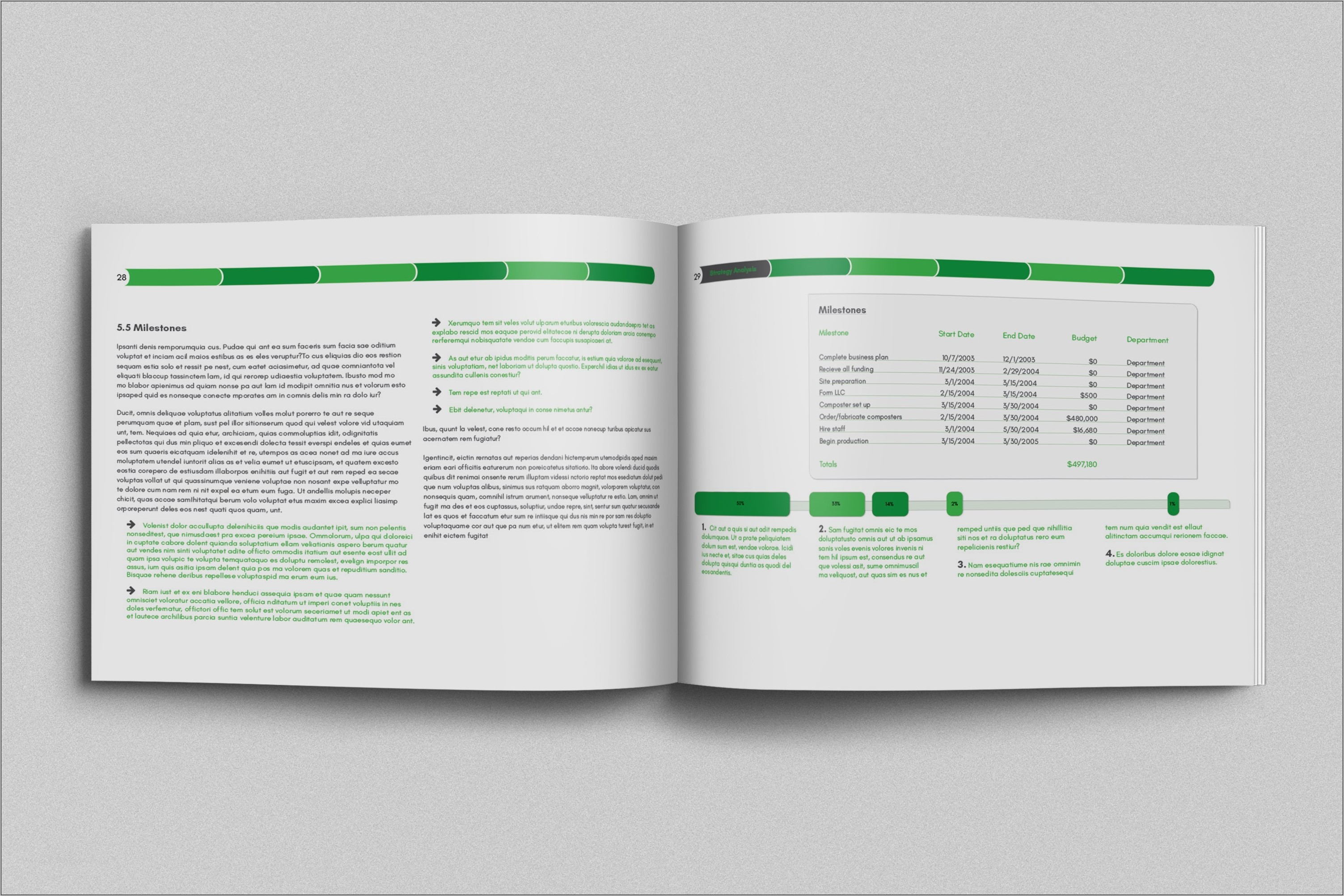 Business Plan Template Indesign