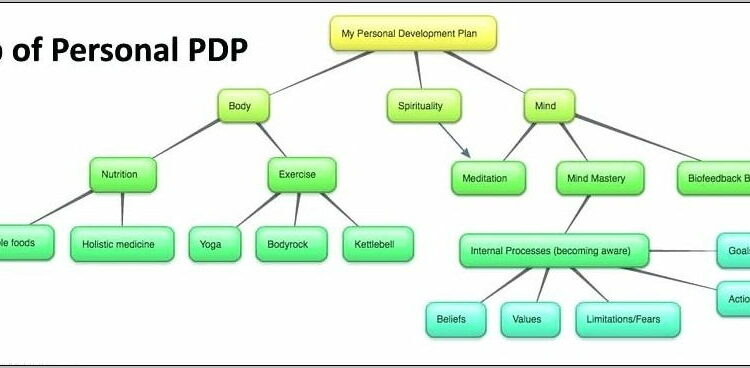 Business Process Improvement Plan Template 2010