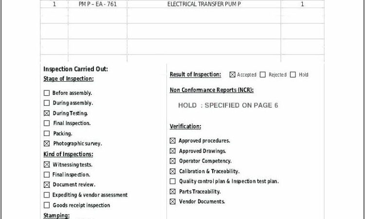 Business Process Improvement Project Plan Template