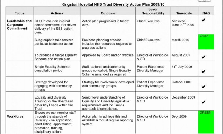 Business Restructuring Plan Template