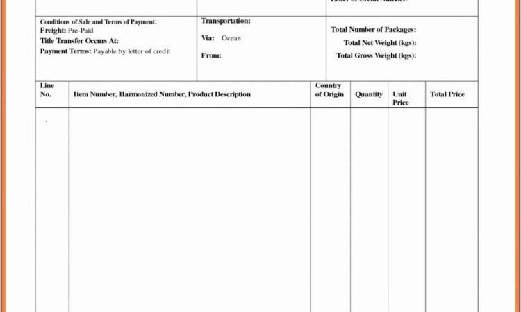 Canada Customs Invoice Sample