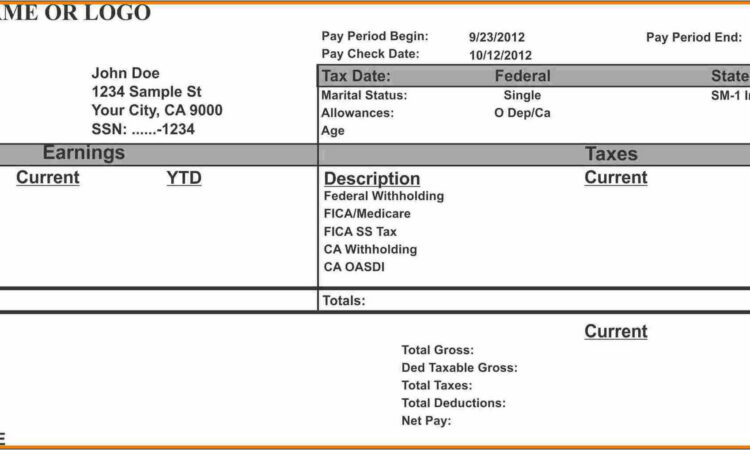 Canada Pay Stub Template Free