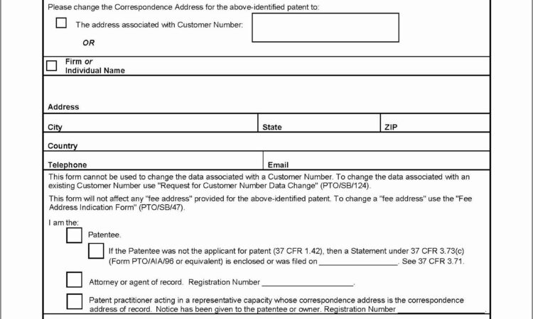 Canadian Patent Application Template