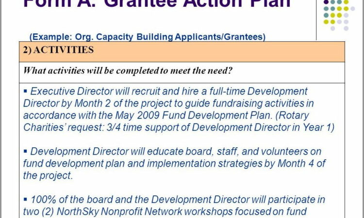 Capacity Building Action Plan Template