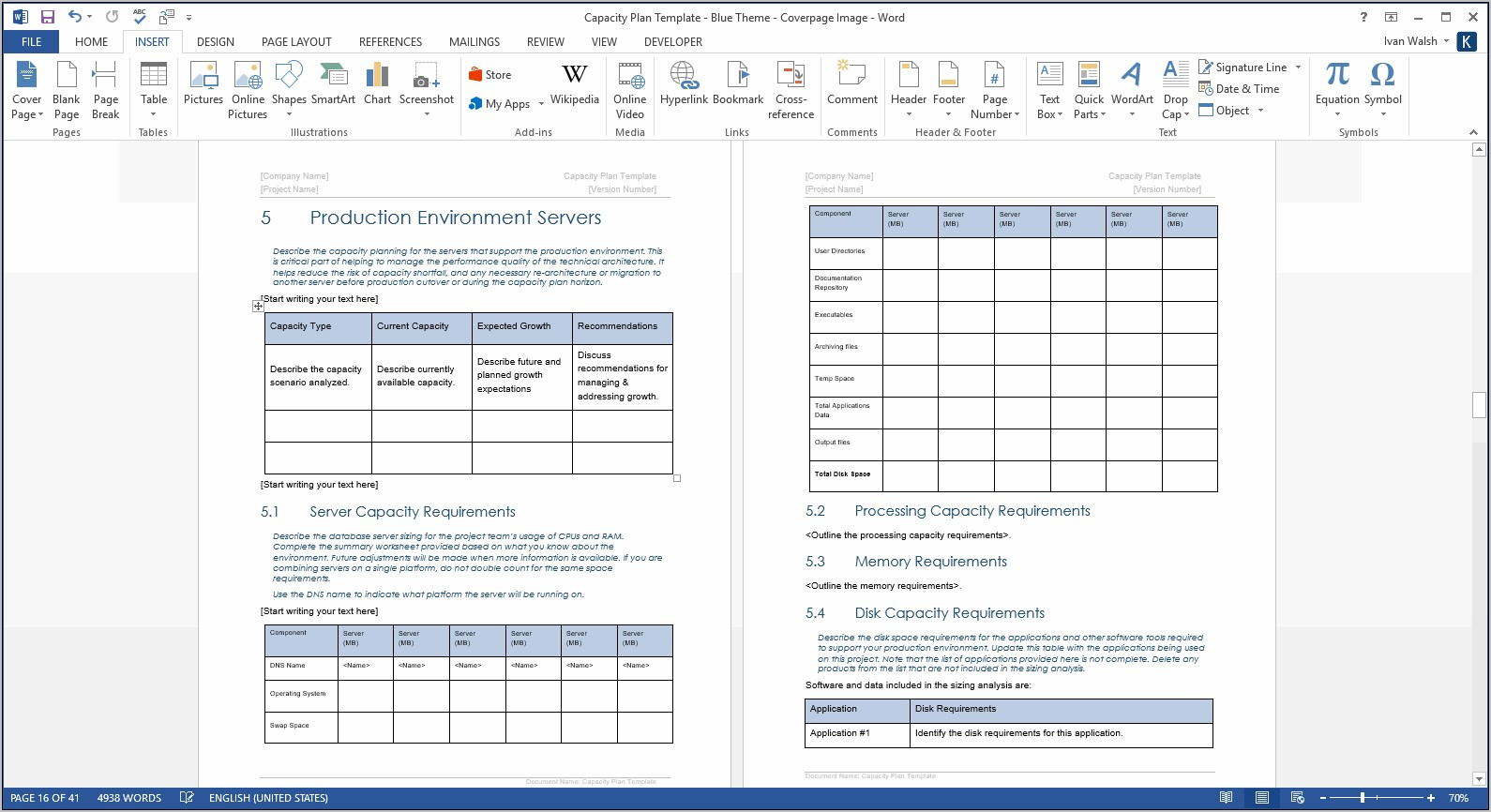 Capacity Planning Template Word
