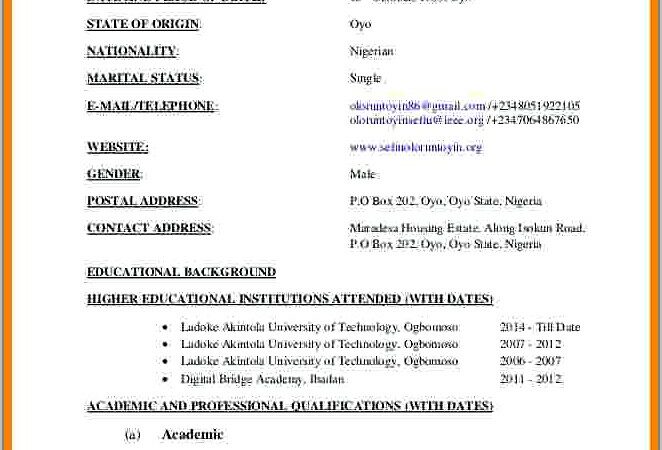 Curriculum Vitae Blank Format Download