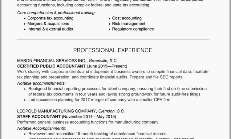 Curriculum Vitae Examples For Accountant