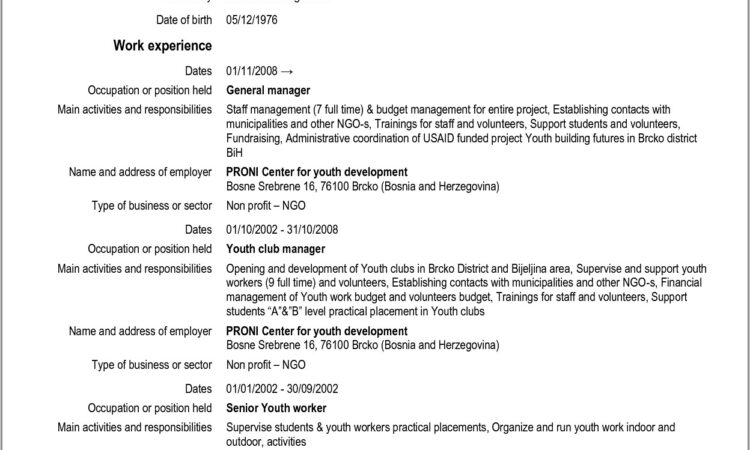 Curriculum Vitae Format Doc