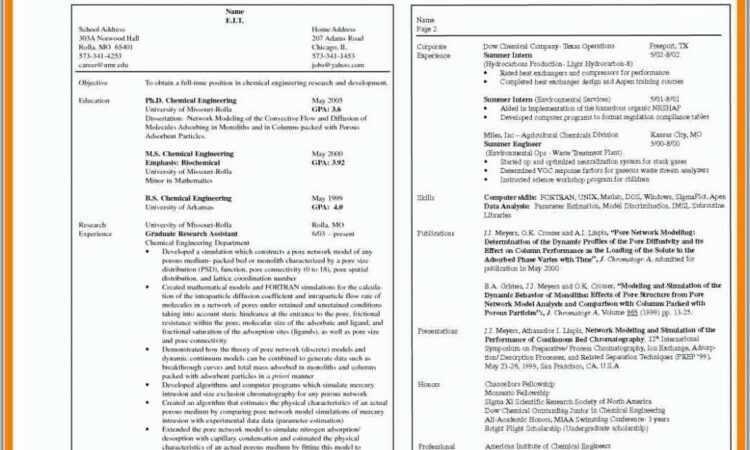 Curriculum Vitae Format Doc File Download