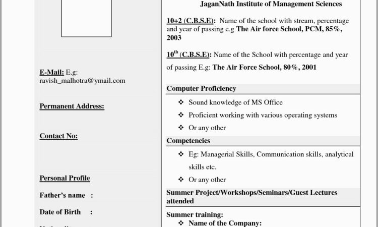 Curriculum Vitae Format Doc For Freshers