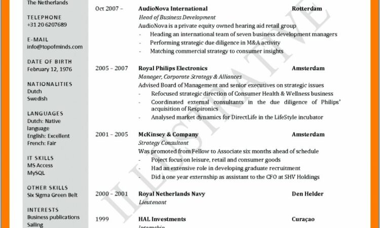 Curriculum Vitae Format Document