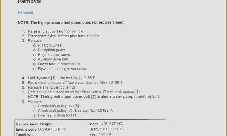 Curriculum Vitae Format Word File Free Download