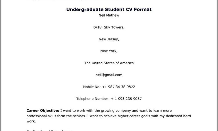 Curriculum Vitae Samples Doc Free Download