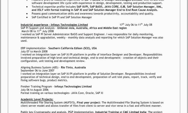 Cv Sample For Net Developer