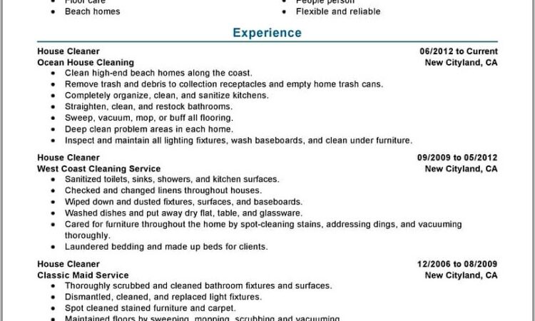 Cv Samples For Cleaning Job