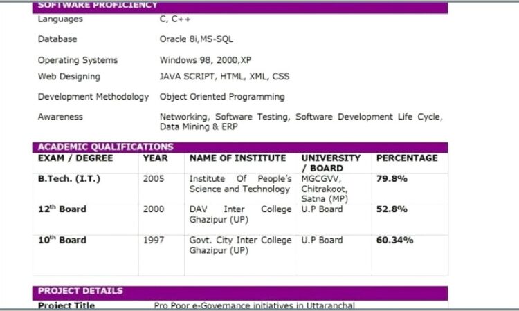 Cyber Security Analyst Resume Example