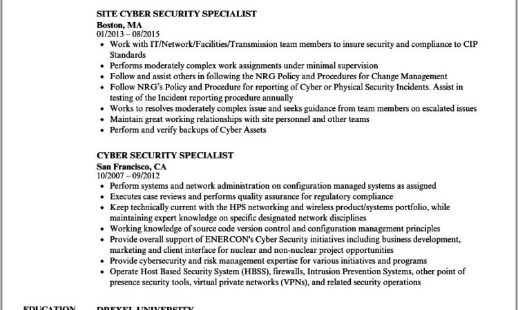 Cyber Security Specialist Resume Sample