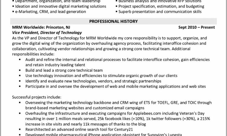 Digital Marketing Cv Example