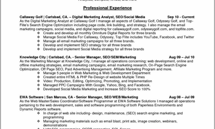 Digital Marketing Manager Resume Sample Doc