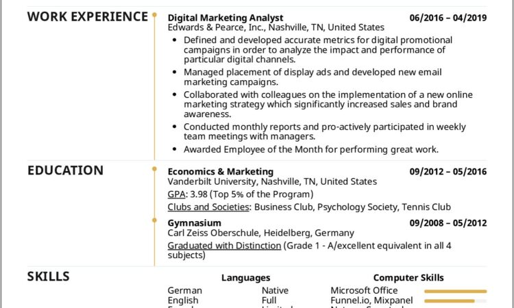 Digital Marketing Resume Examples