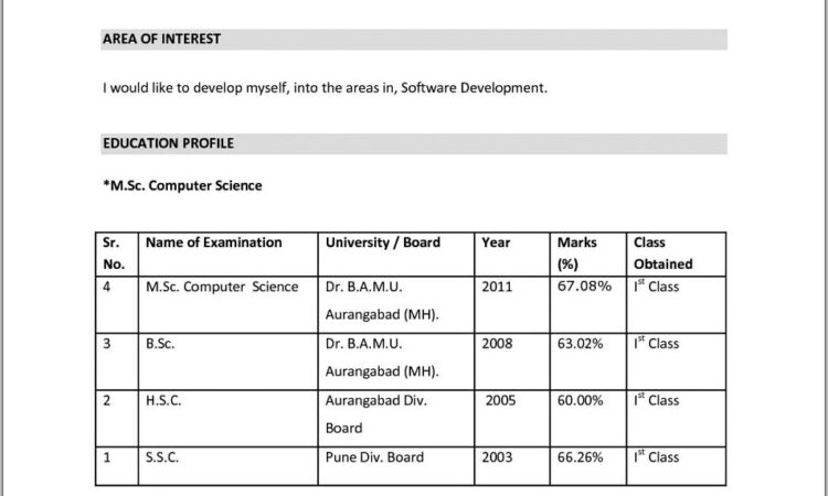 Download Resume Format Pdf For Freshers