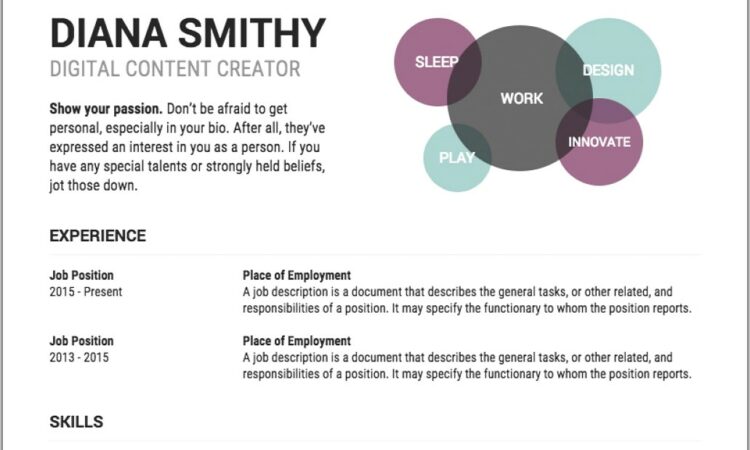 Editable Infographic Resume Template Free Download